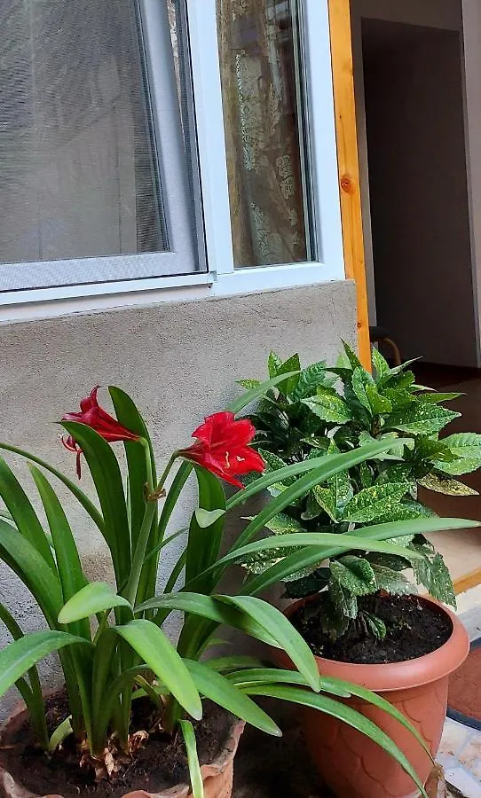 Apartment Ferienwohnung Oldhouse Tbilisi